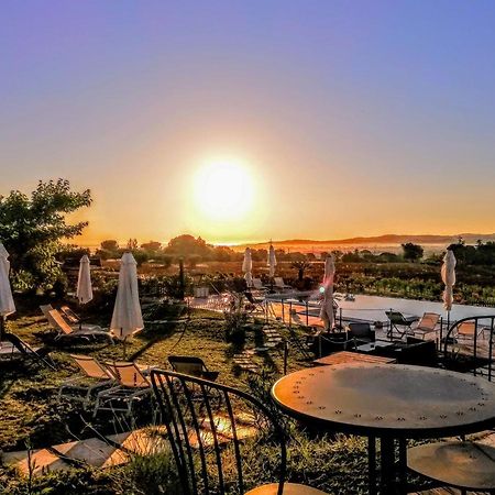 Agriturismo Rosa Antica Monte San Vito エクステリア 写真