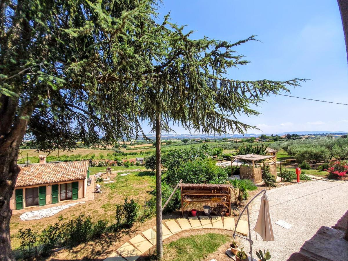 Agriturismo Rosa Antica Monte San Vito エクステリア 写真