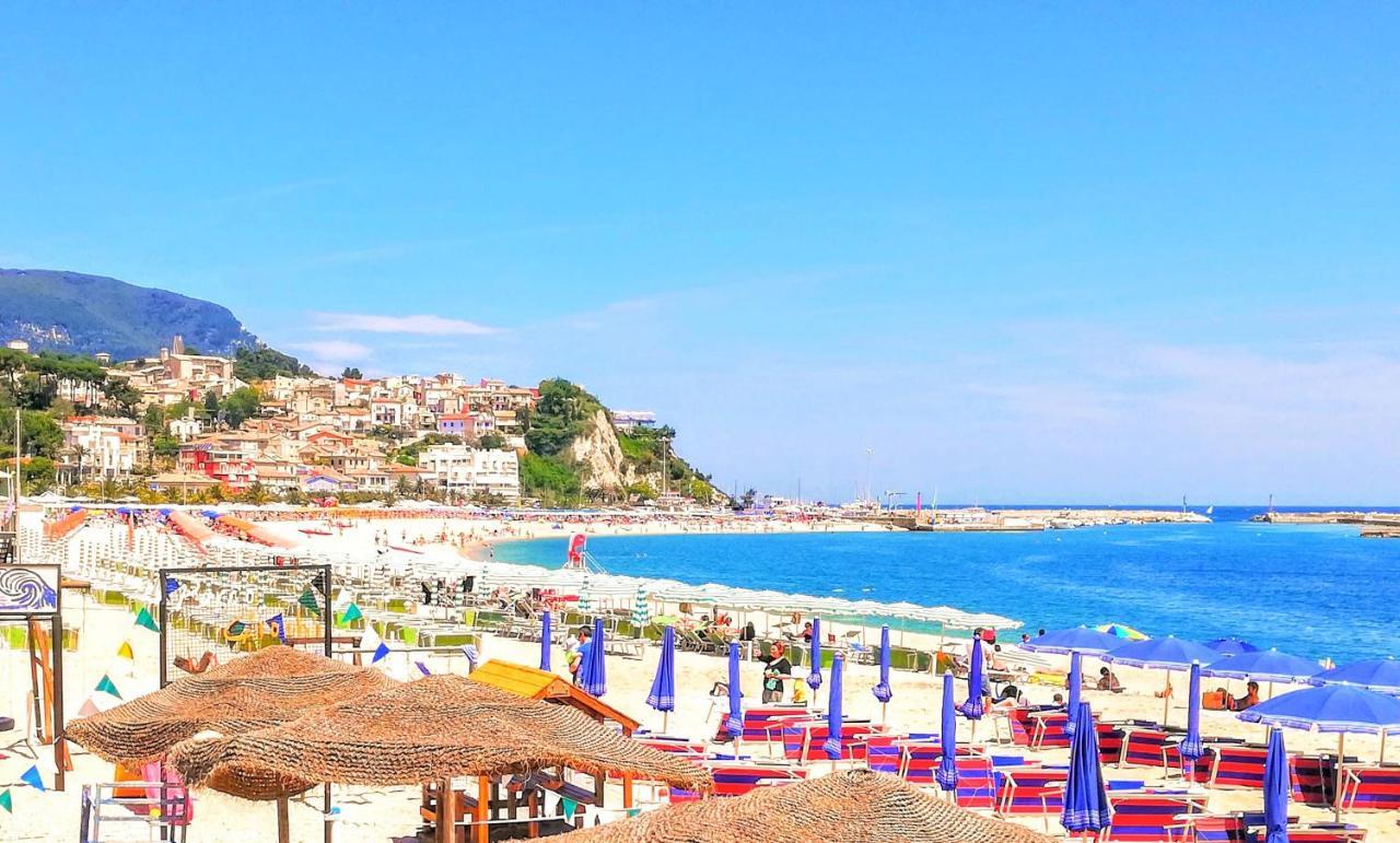 Agriturismo Rosa Antica Monte San Vito エクステリア 写真