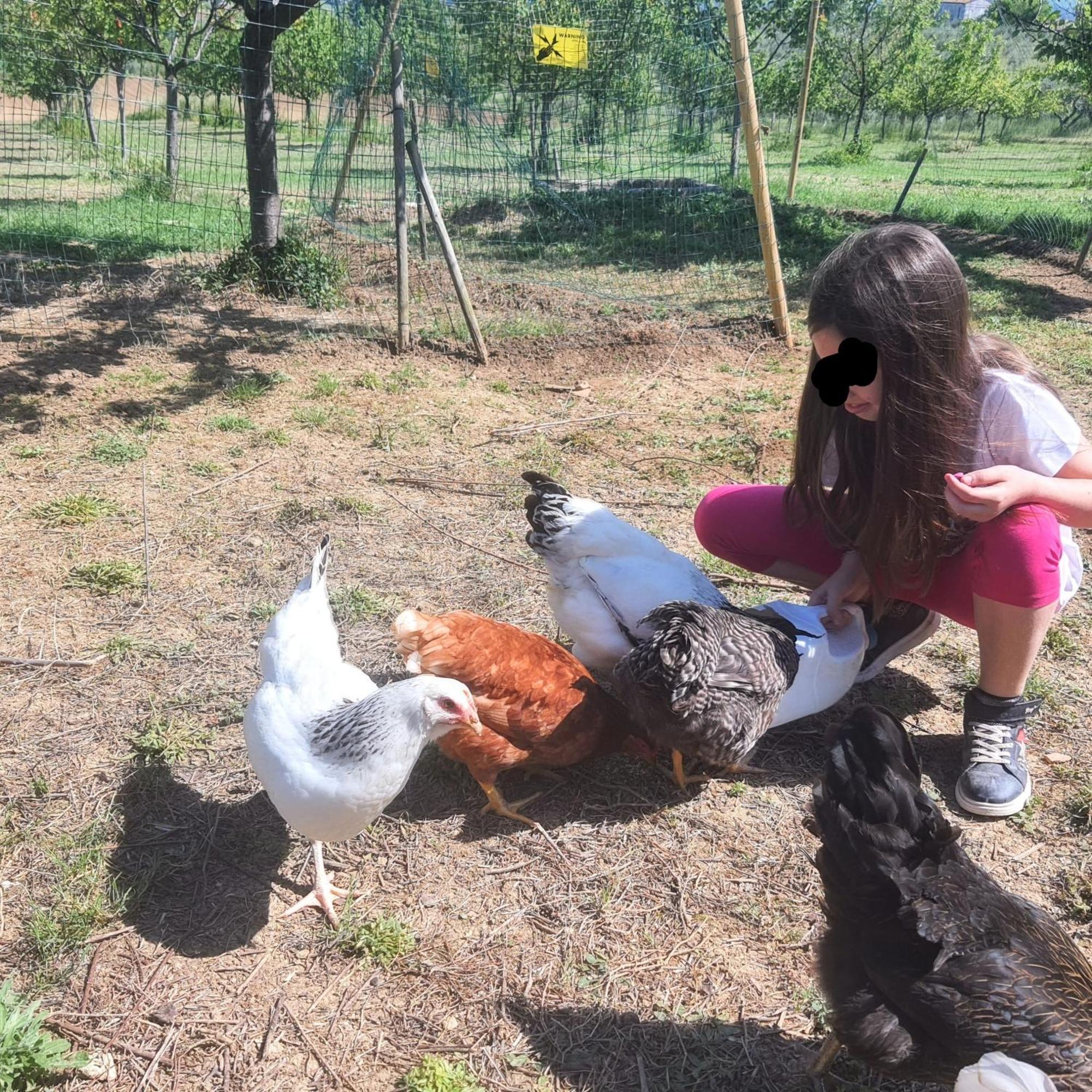 Agriturismo Rosa Antica Monte San Vito エクステリア 写真