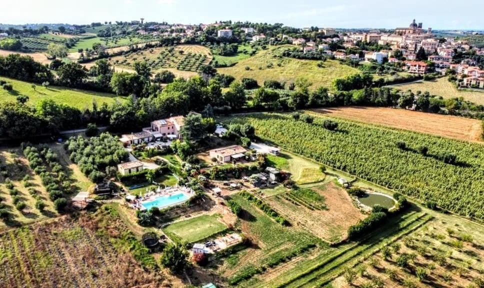 Agriturismo Rosa Antica Monte San Vito エクステリア 写真