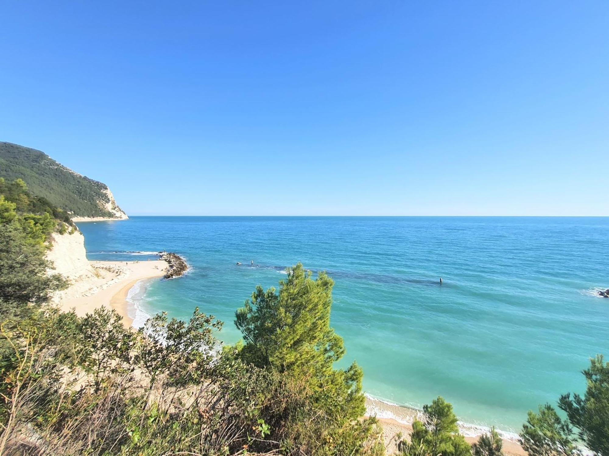Agriturismo Rosa Antica Monte San Vito エクステリア 写真