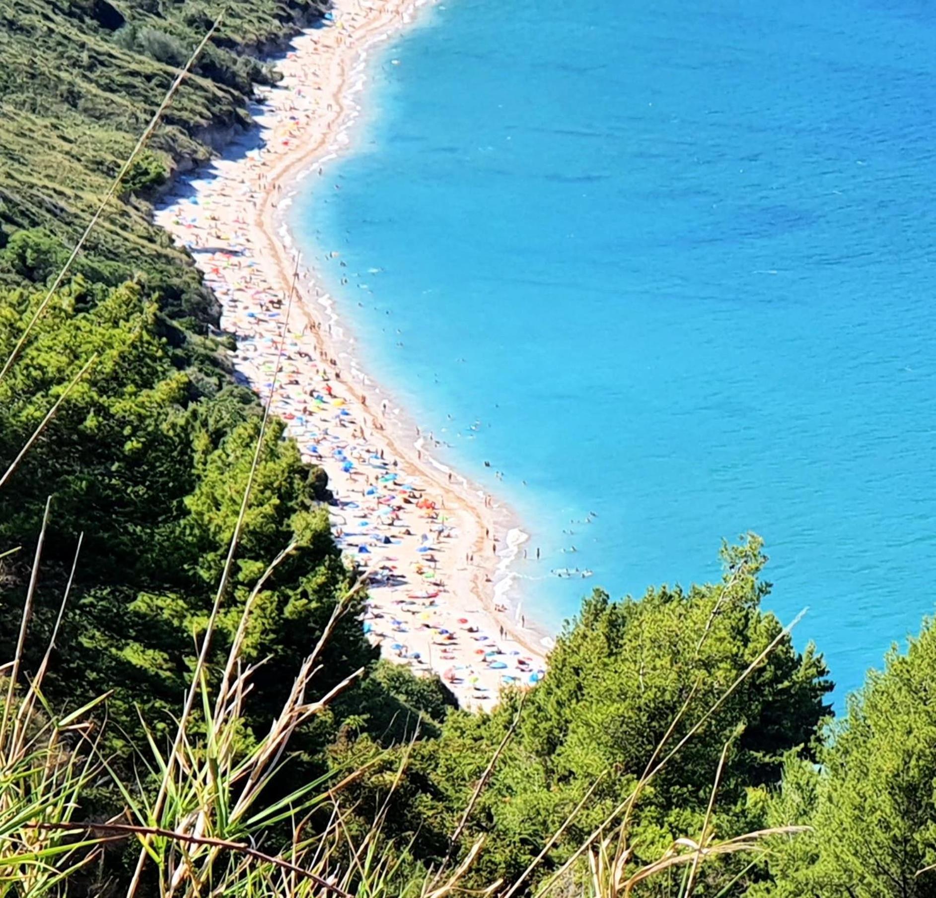 Agriturismo Rosa Antica Monte San Vito エクステリア 写真