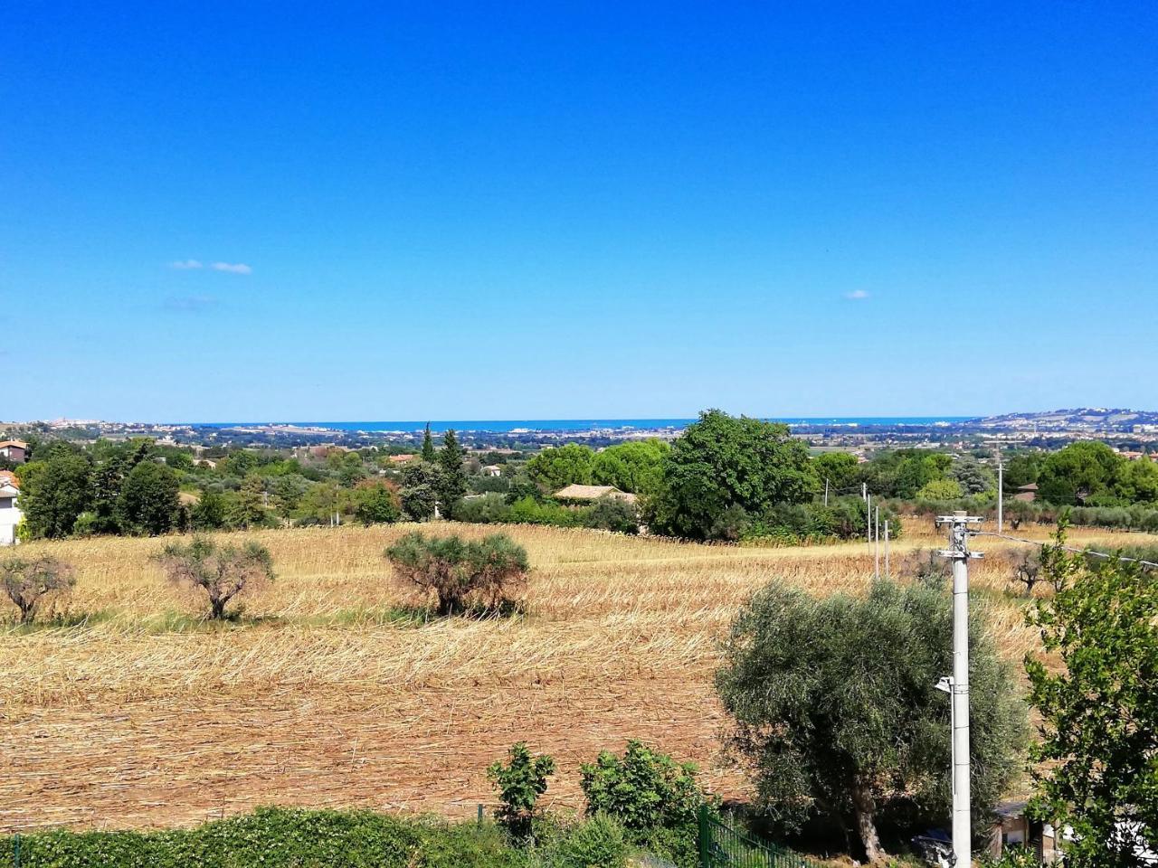 Agriturismo Rosa Antica Monte San Vito エクステリア 写真