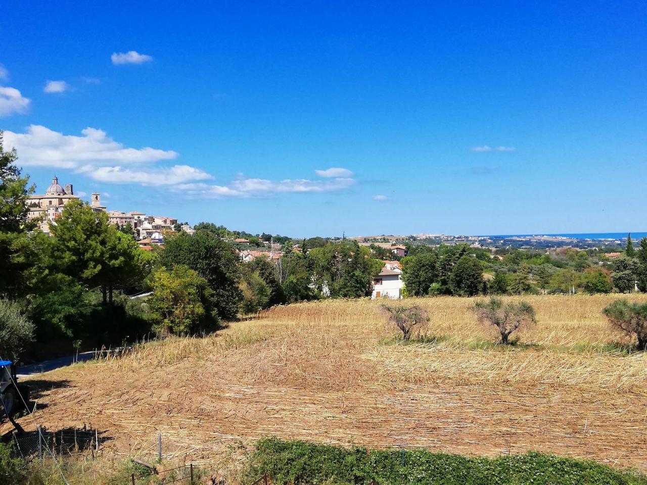 Agriturismo Rosa Antica Monte San Vito エクステリア 写真