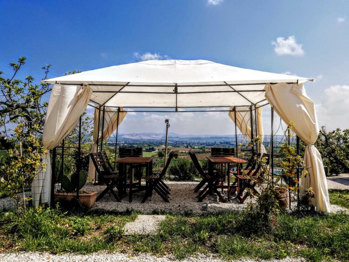 Agriturismo Rosa Antica Monte San Vito エクステリア 写真