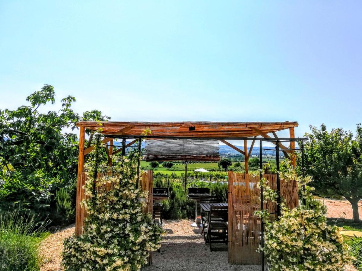 Agriturismo Rosa Antica Monte San Vito エクステリア 写真