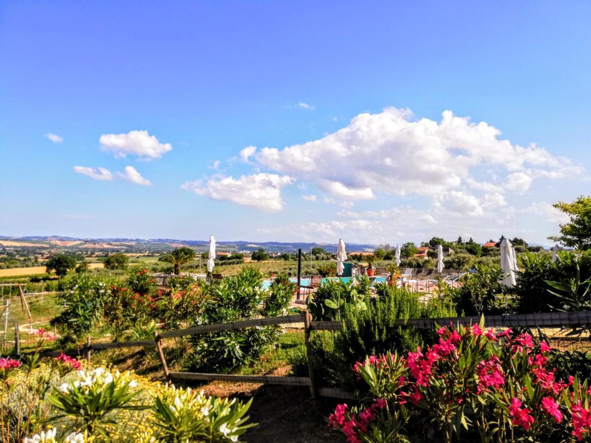 Agriturismo Rosa Antica Monte San Vito エクステリア 写真
